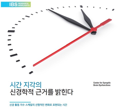 시간 지각의 신경학적 근거를 밝힌다 (IBS Research에 수록)